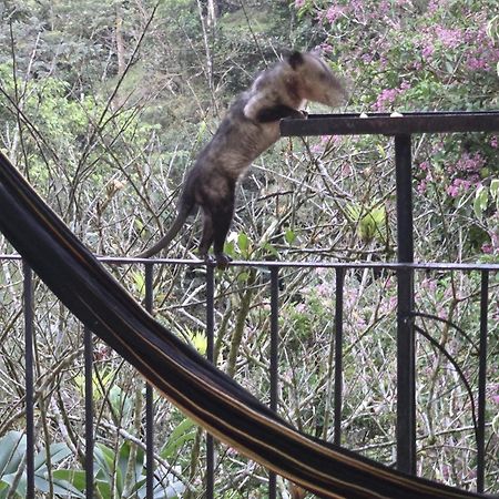 El Valle De Anton La Chachalaca Экстерьер фото